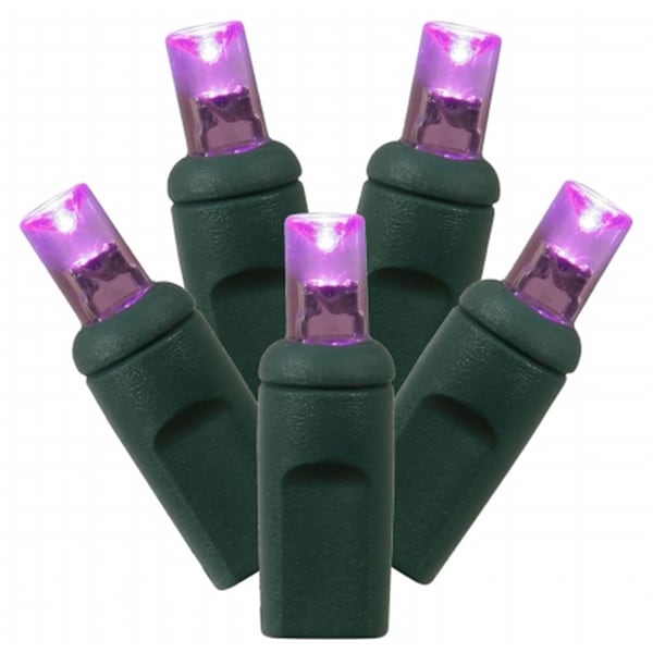 Vickerman 100Lt LED Purple/GW WA Ec Set 1Pc 6''x50' X6G6106 - main